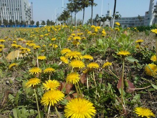 WP_000195.jpg