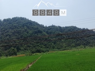 258