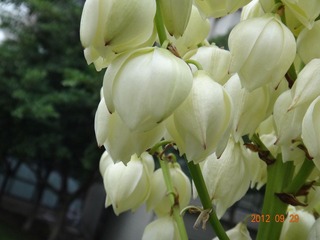 DSC00395.JPG