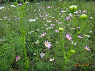 DSC00400.JPG