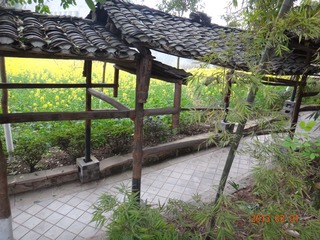DSC00970.JPG