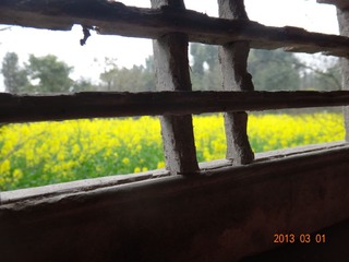 DSC00984.JPG