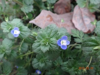 DSC00889.JPG