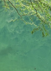 9DF0007B-6B98-407F-BE31-C4A87174AD88/L0/001