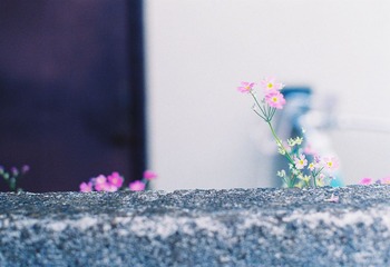 000025.JPG
