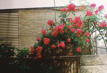 000033.JPG