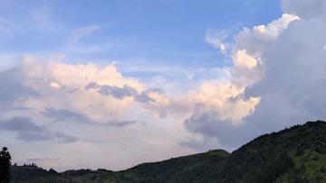 1000015512