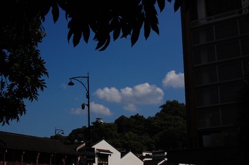 85E5DF81-2D9B-45DD-AF99-1FE493F3153F/L0/001