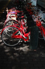 D116F656-8894-4409-9625-A34524C2795F/L0/001