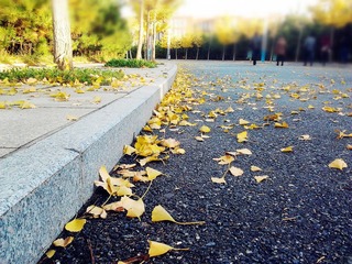 2012-11-11 07.47.20_副本.jpg