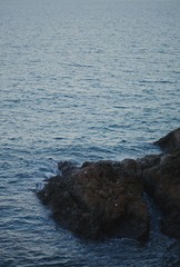 D20EFC67-A7F7-4A7F-9905-1BE88207033E/L0/001