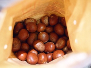 PB044722.JPG
