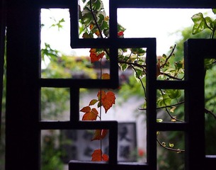 PB105117_副本.jpg