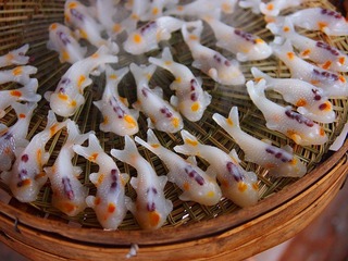 PB105111_副本.jpg