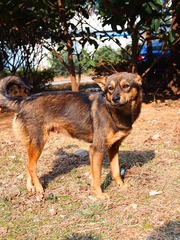 P1130067_副本.jpg