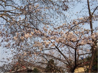 Image00001.jpg