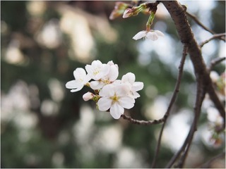 Image00014.jpg