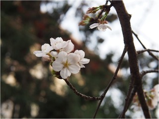 Image00015.jpg