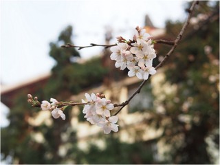 Image00016.jpg