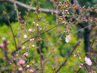 P3101481_副本.jpg