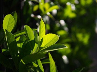 P4102034.JPG