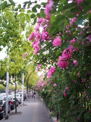 P5022120_副本.jpg