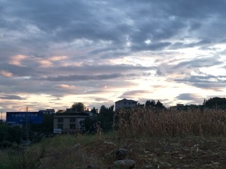 521