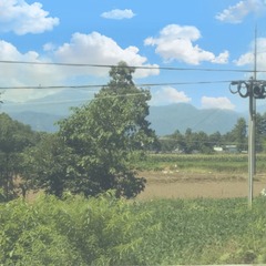 781569