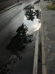 4352261