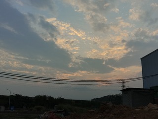 1000010389