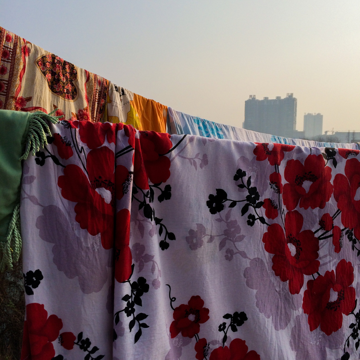 29 - 陈德明 - 图虫摄影网