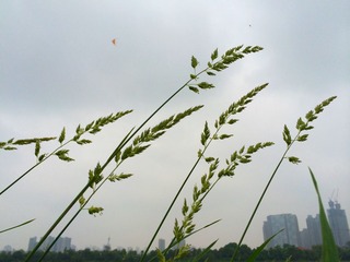 2014-04-21 (2)