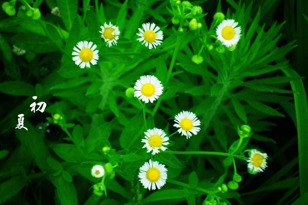 SAM_5829_<br />
