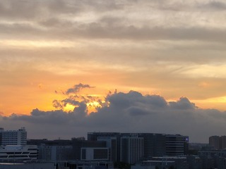 1000046012