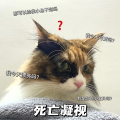 3FC6C25B-C3AB-4BF2-A212-53DA45328FC8/L0/001