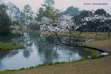 DSC_1386.JPG