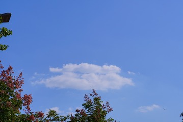 8B1BC634-E89B-4088-A255-B318483A8F76/L0/001