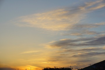 C2E3641D-C3A0-4A5E-9E8A-002621B96EA0/L0/001
