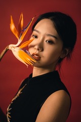 13198