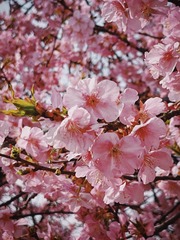 0534E1DB-0530-4D6A-890C-F25B5BC86062/L0/001