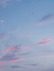 65D93267-FA56-45FC-8B69-F83C739EA8D7/L0/001