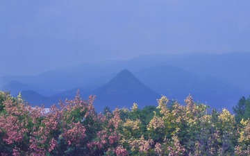 63F873A6-FF36-4862-AD75-8F3677371E08/L0/001