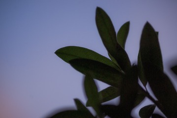 06C1120F-6188-4D5D-9E1D-6F16CD6B09CB