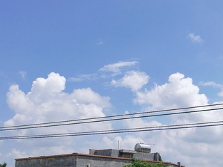 527439