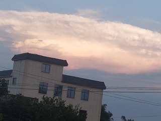 568202