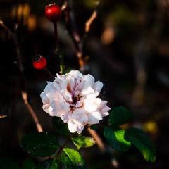001