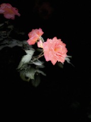ECED54B3-B9FF-41F6-ADBB-54D7086DA83B/L0/001
