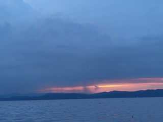 1000003195
