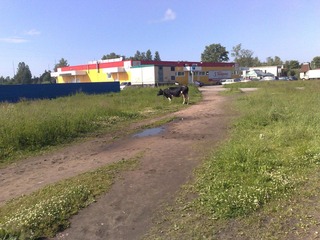 14062010559.jpg