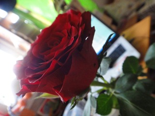 DSC00926.JPG